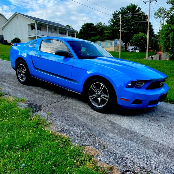 Meet your Posher, Teresa - Picture 2 of 2